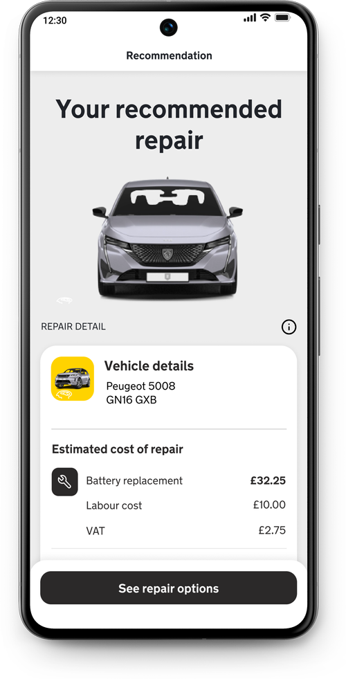 Recommended repair with vehicle details and cost