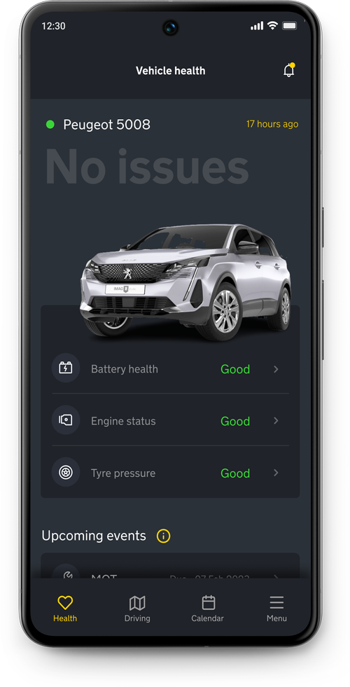 Vehicle health showing no issues