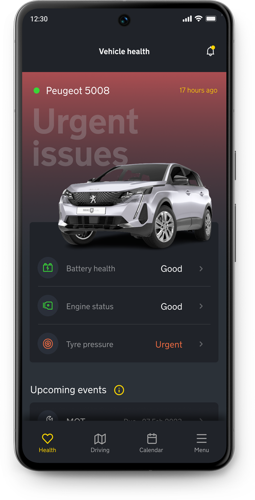 Vehicle health flagging urgent issues